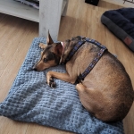 So nice to sleep in a warm house!