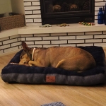 I dream of my own family and home!