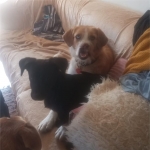 With my new best friend